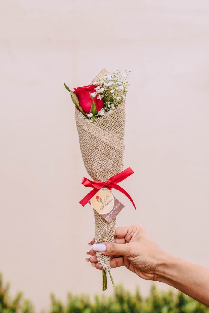 Rosa na juta