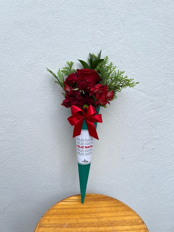 Cone de Natal
