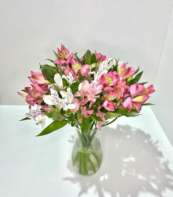 Astromelias semanais - 4 entregas mensais